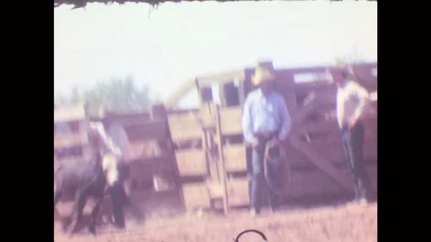 1950s: Calf-Roping Rodeo Competition. Stock Footage