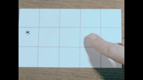 1950s: Clapboard, close up of grid design on card, finger points to square. Hand Stock Footage 240676712