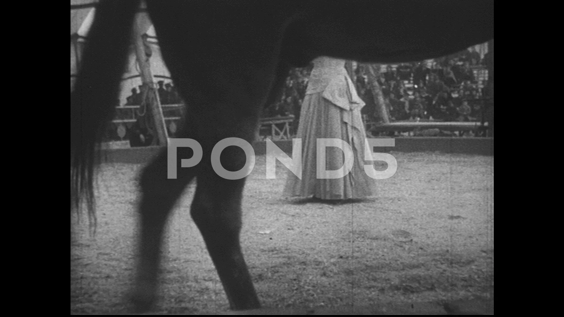 1950s: A crowd cheers as a woman uses her whip to guide horse act.