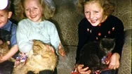 1950S Cute Little Kids Children Hold Kitty Kittens Cats Vintage Film Hold Movie Stock Footage