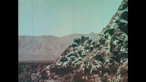 1950s: Desert. Man walks through desert. Cactus. Stock Footage