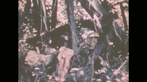 1950s: Disused oil wells, drilled without the aid of modern technology. 1950s Stock Footage