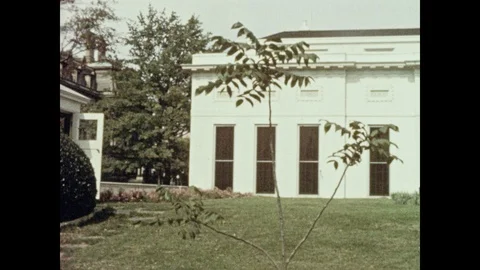 1950s: Dwight Eisenhower black walnut tree blows in the wind outside the West Stock Footage 93317910