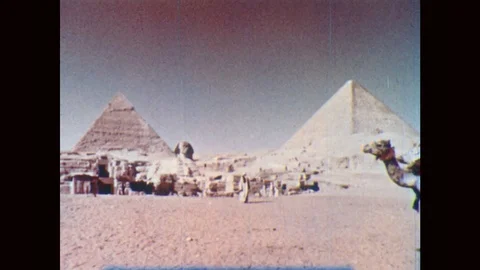 1950s: EGYPT: man rides camel in front of pyramids at Giza. Sphinx by pyramid. Vidéo 82730586