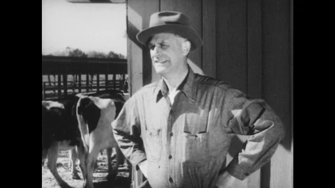 1950s: Farm, herd of cattle process forward. Farmer stands with hands on hips, Stock Footage 93325857