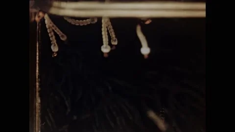 1950s: Fish eagerly devouring larvae in tank. Men in boat swiftly emptying Stock Footage 162326284