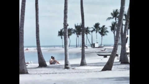 1950s Florida beach scenes with palm trees and white sand, 2K scan Stock Footage 314991990
