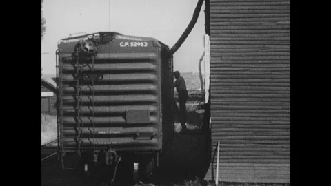 1950s: Freight train pulls up to a grain elevator to be filled. Train unloads in Stock Footage 126010331