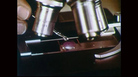 1950s: Hand places dropper of liquid onto glass slide under microscope, then Stockbeeldmateriaal 84830100