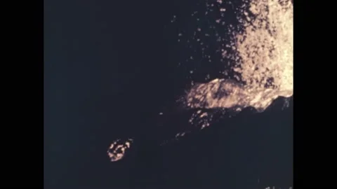 1950s: Lava exploding from volcano. Ancient undersea plants, trilobite. Stock Footage 169594131