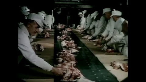1950s - The making and packaging of Spam at the Hormel factory. Stock Footage 79444000