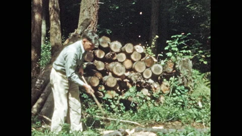 1950s: Man chops and stacks logs and branches near woods. Woman walks from house Stock Footage 139760760