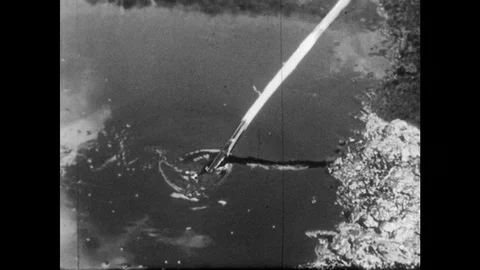 1950s: Man dips stick repeatedly into oil pool, fills jar with oil. California, Vidéo 83943891
