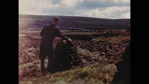 1950s: Man stacks clay bricks in tall cairn.  Field of clay bricks dry in the Stock Footage 139250548