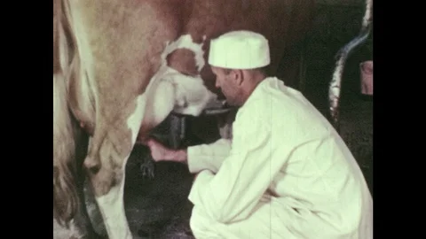 1950s Man Washes Cow S Udder With Rag Stock Video Pond5 Find all the synonyms and alternative words for troughman at synonyms.com, the largest free online thesaurus, antonyms, definitions and translations resource on the web. pond5