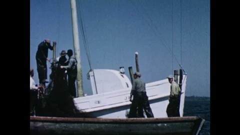 1950s: Men on boats attach large fishing net to wooden poles in Chesapeake Bay. Stock Footage 103555581