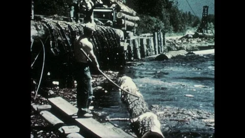 1950s: Men guide logs down river with sticks.  Cut trees on train. Stock Footage 83287551