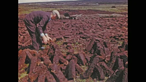 1950s: Men stack clay bricks in field to dry. Large clay pit near stacks of Stock Footage 139250541