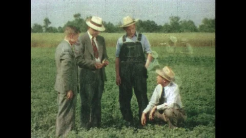 1950s: Men talking in field. Man working in lab. Men empty grain into truck. Stock Footage 88877234