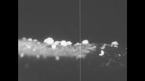 1950s: Microscopic plant growing. Tree. 스톡 동영상 78460368