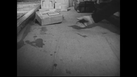 1950s : Packages, also known as parcels, are taken from a moving table and Stockbeeldmateriaal 74503983