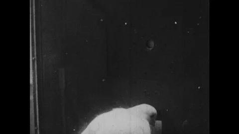 1950s: Pigeon pecks at button on box, eats from slot. Pigeon in cage. Pigeon Video stock 126013668