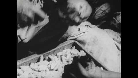 1950s:  Plantation workers processing cocoa beans Stock Footage 74659826