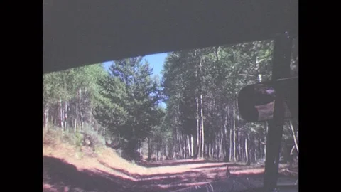 1950s: Rearview Mirror And Front Window, Ride Through Wooded Road. Covered Wagon Stock Footage