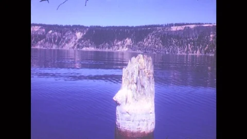 1950s: Rippling Water Around Small Tree Trunk In Lake. Wood Of Tree Trunk, Stock Footage