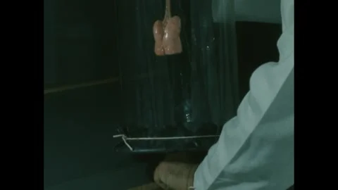 1950s: Science lab with experiment simulating lungs inflating and deflating in Stock Footage 266843293
