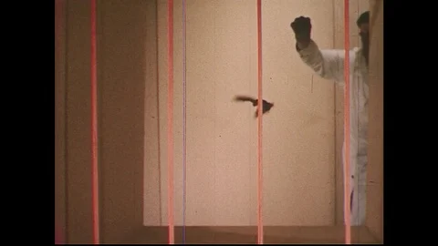 1950s: Scientist releases bat in obstacle course, bat flies into wall / Stock Footage