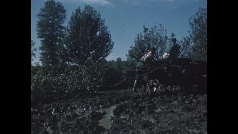 1950s: Slate. Two men guide horses pulling a load of wood through muddy patch. Stock Footage 256227522