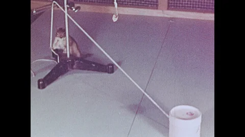 1950s: Squirrel in lab, pulls box toward nut, pulls nut from string. Close up, Stock Footage 109222938