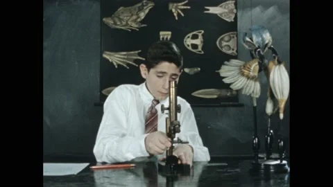 1950s: student looking at anatomical frog poster before moving to microscope 스톡 동영상 165606851