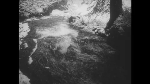 1950s: Tilting shot, view down stream. Tilt up trees, snow falling. Pan across Stock Footage 85177702