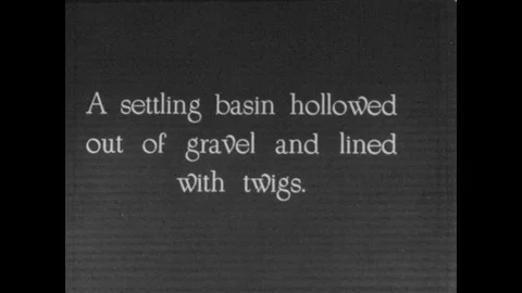 1950s: title card for settling basin. woman in native dress sits on ground, uses Stock Footage 82918207
