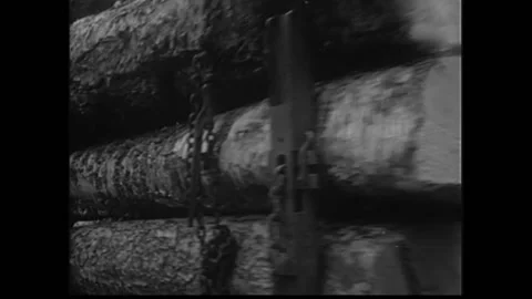 In the 1950s, a truck of birch logs pulls into the yard of a veneer company in Stock Footage