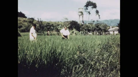 1950s: Two men work field of crops. Map of China, South China, North China. Vidéo 157443192