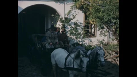 1950s: Two white horses pull a carriage down a shaded lane and come to a stop. Stock-Footage 280686988