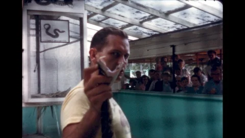1950s: UNITED STATES: snake handler shows snake fangs to camera. Snakes in pit Vidéo 112018429