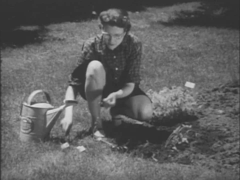 1950s - Various types and uses of pencils at home and in industry, manufactured Stock Footage 82938305
