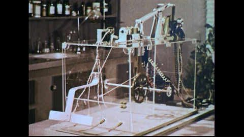 1950s: View of elaborate trap / Bear trap closes on piece of wood / Close up, Stock Footage 74583794