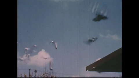 1950s: Views of pigeons flying. Stock Footage 74447091