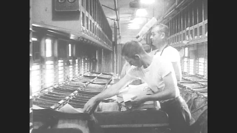 1950s: Workers sort mail into bins and pigeonholes. Vidéo 79978908
