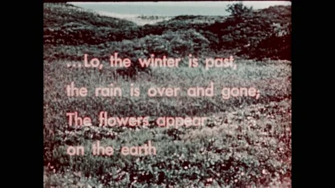 1950s:Religious scripture text superimposed over mountainous forest. Trees Stock Footage 232948189