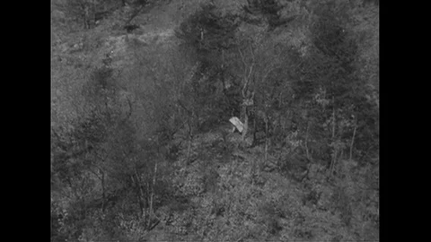 1951 : During a battle, two men run up a mountain before surrendering. Stock Footage