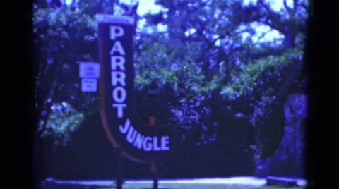 1951: parrot jungle hotel bar casino lounge establishment FLORIDA Stock Footage