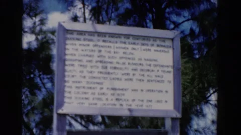 1951: a wooden framed sign on a windy day in front of a tree and a lady Stock Footage