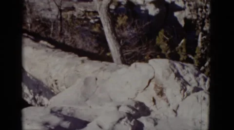 1952: hilly area is seen with trees and greenery CALIFORNIA Stock Footage