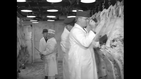 1953 - Beef carcasses are processed at the Meat Processing Plant in Boston, Stock Footage 145412990